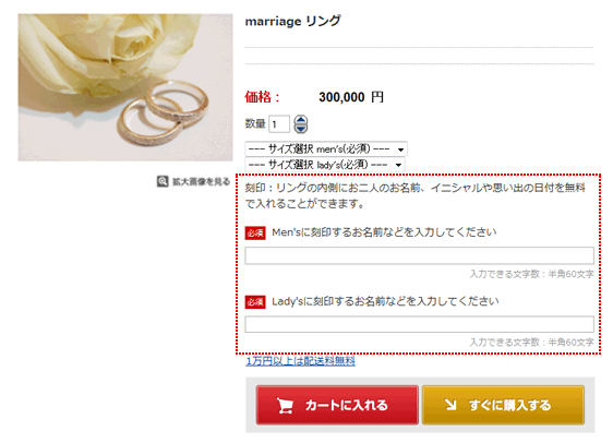 商品詳細表示例